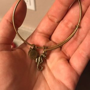 Alex and Ani seahorse